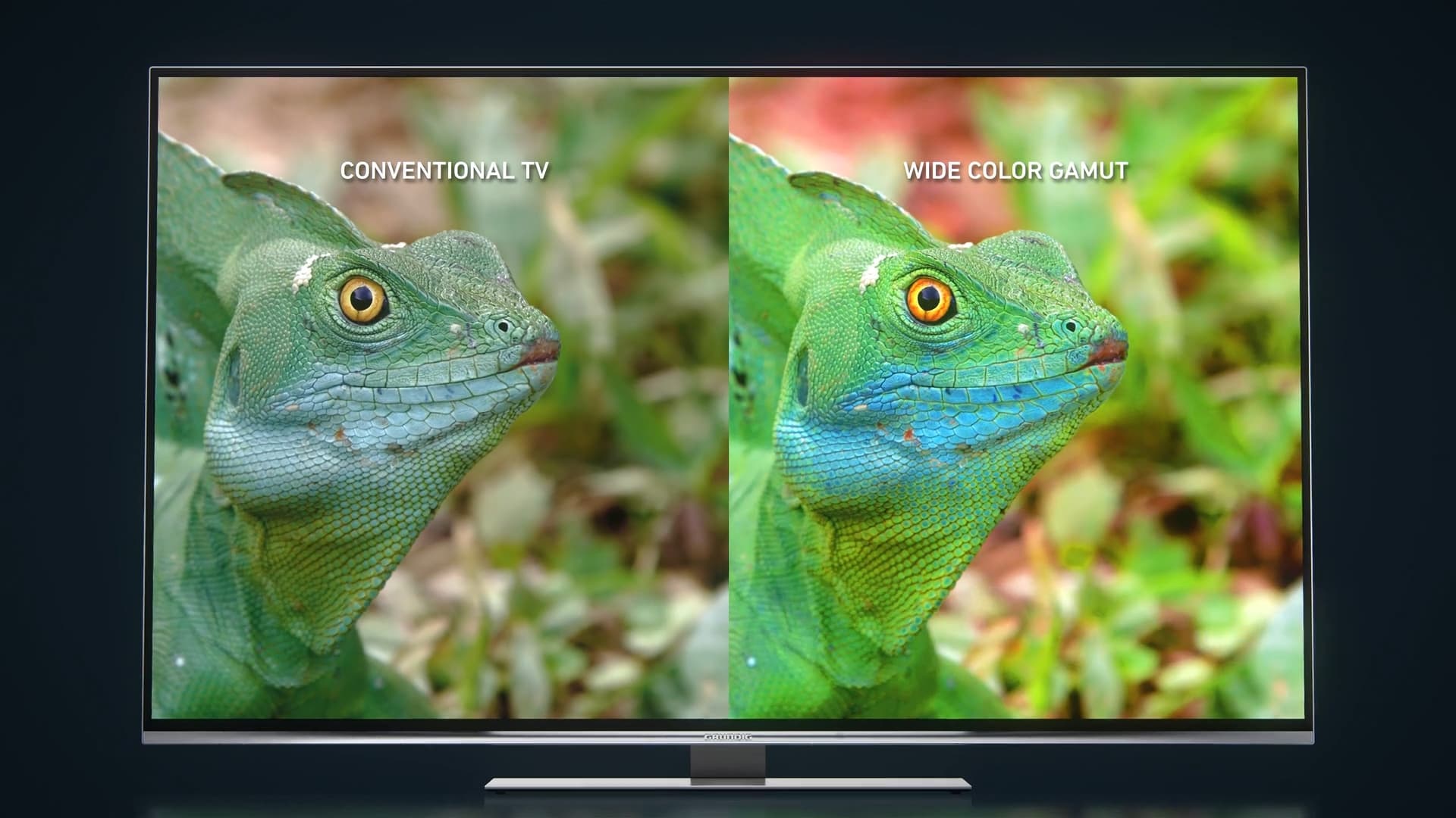 Grundig Immensa visualization detail