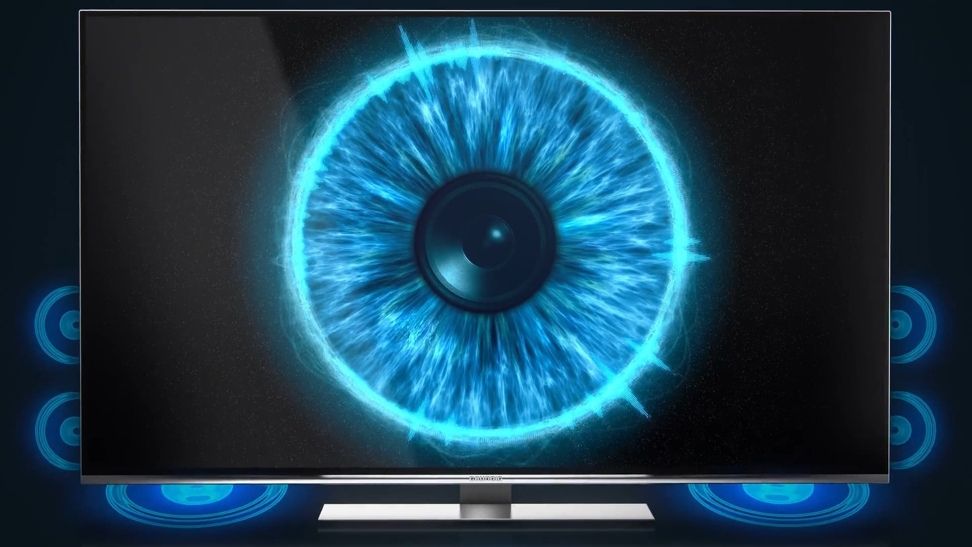 Grundig Immensa visualization detail