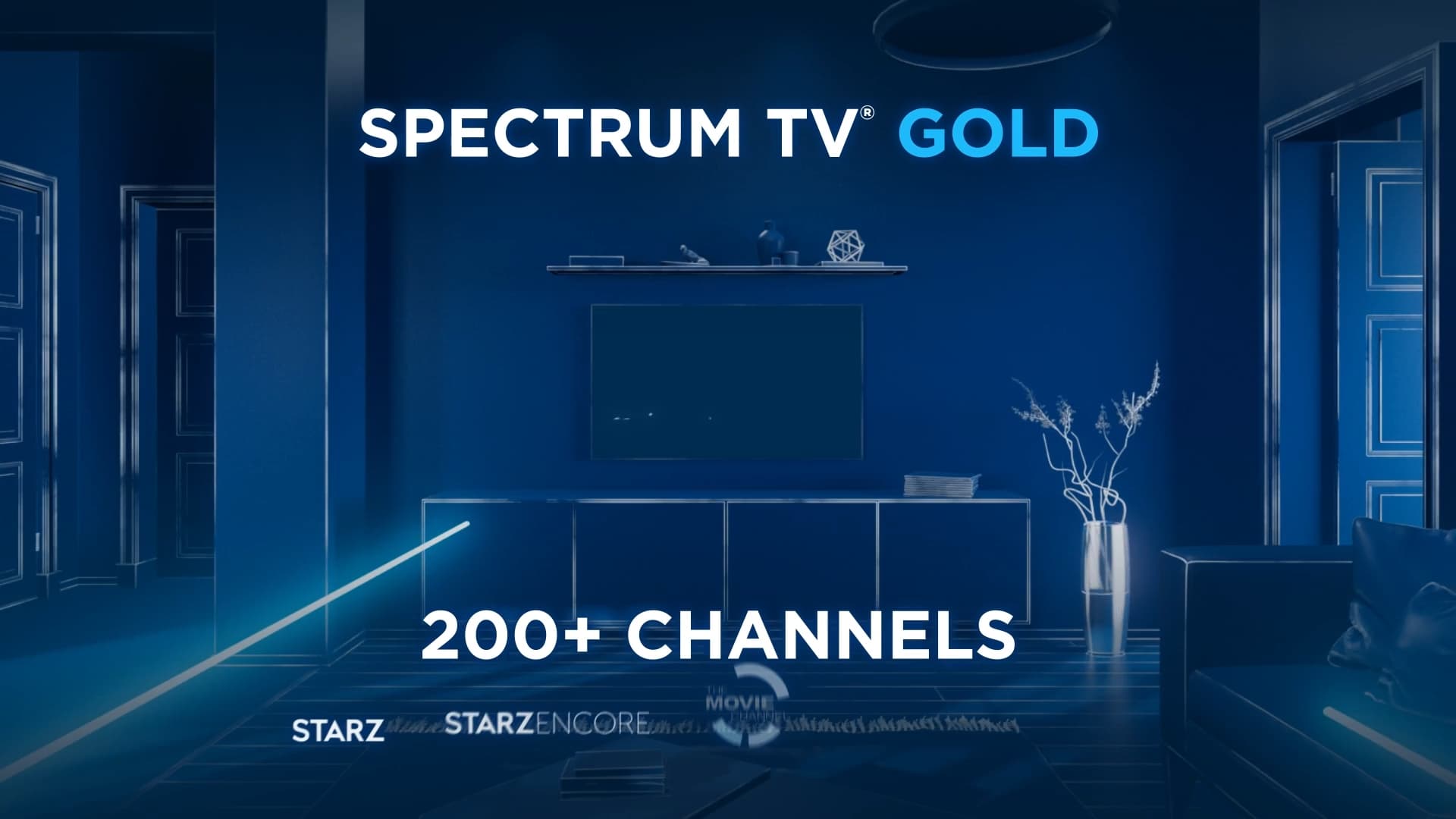 Spectrum TV visualization detail